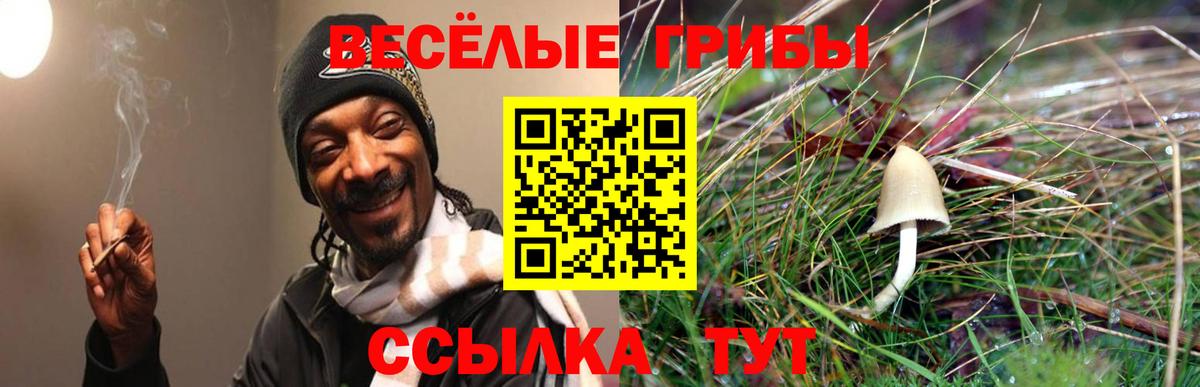 Ростов-на-Дону  Псилоцибиновые грибы ЛСД  Вход с VPN 